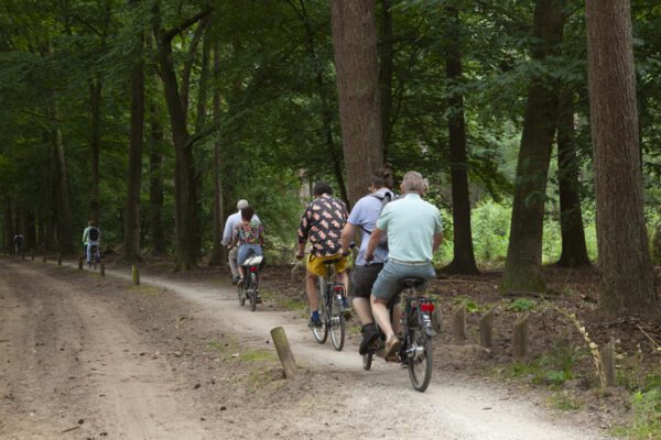 storytelling de tocht der verborgen plekken op de veluwe